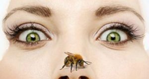 Apiterapia ciencia todavía desconocida