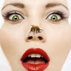 Apiterapia ciencia todavía desconocida